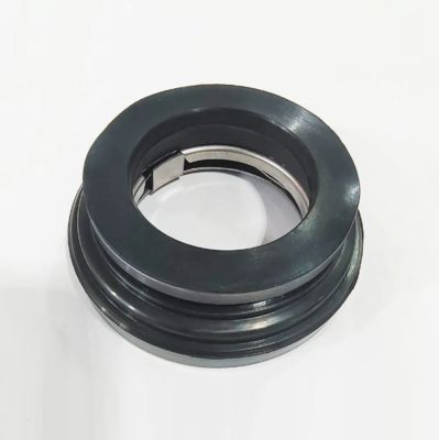 Accel Seal Ax5 or Ax05 Washing Machinanical Seal for Guilliver Counterface Gcs Gulliver Grandimpianti