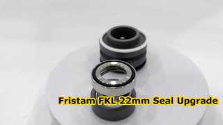Vea por qué elegir el sello mecánico SIC SIC FKM de 22 mm adecuado para la bomba Fristam FKL